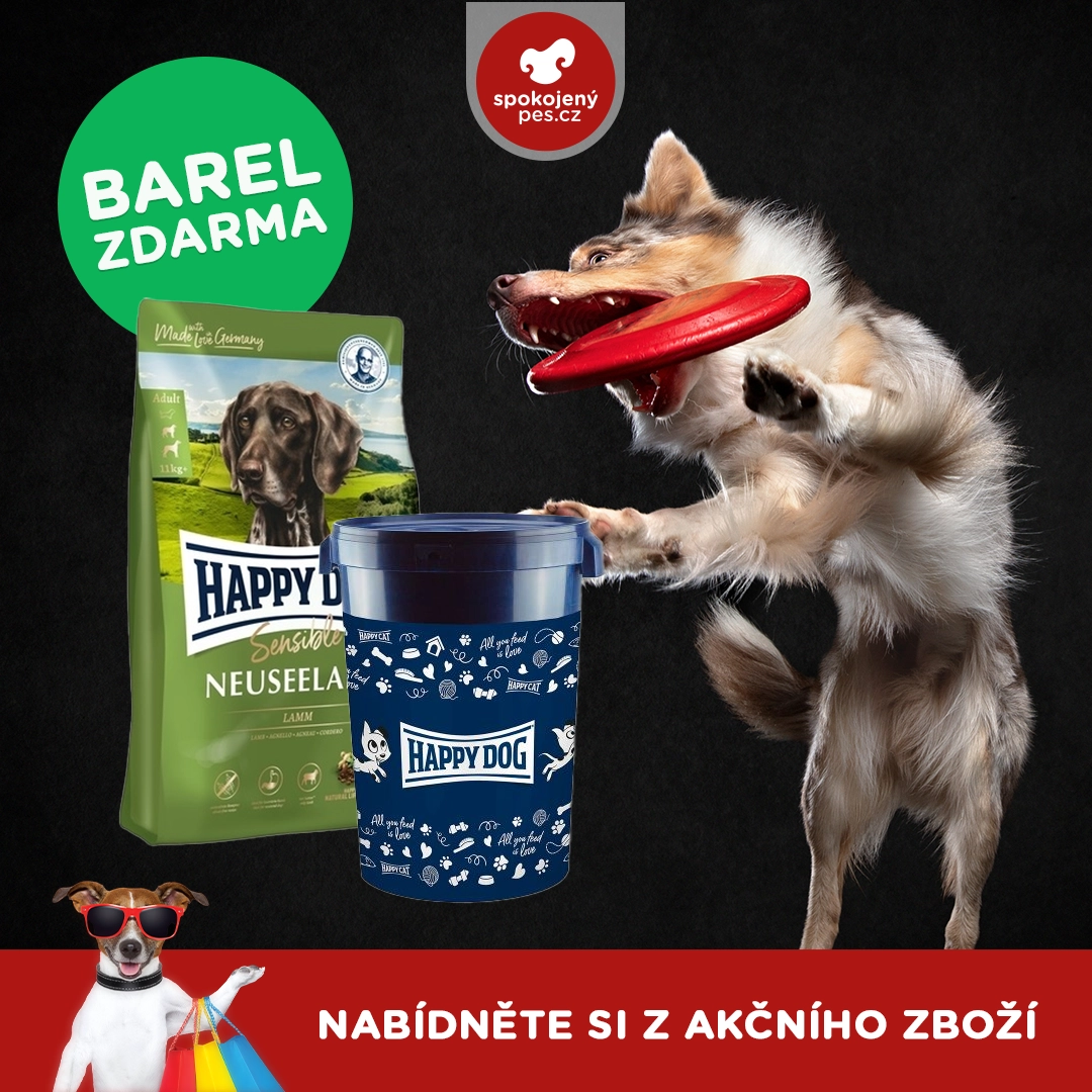 dog happy.webp